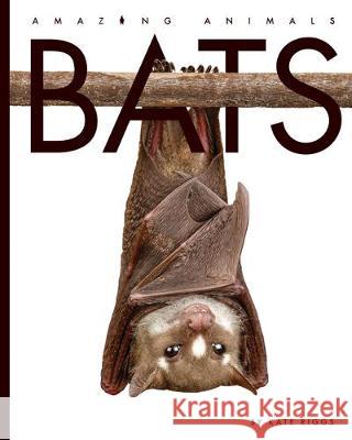 Bats Valerie Bodden 9781640262041 Creative Education - książka
