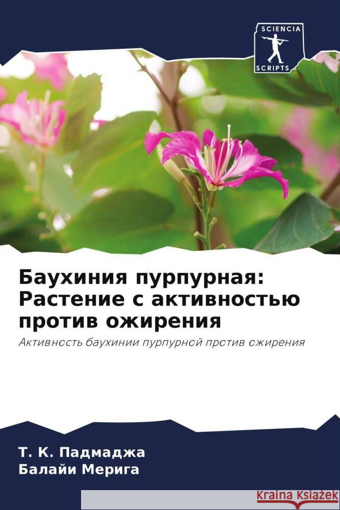 Bauhiniq purpurnaq: Rastenie s aktiwnost'ü protiw ozhireniq Padmadzha, T. K., Meriga, Balaji 9786204940113 Sciencia Scripts - książka