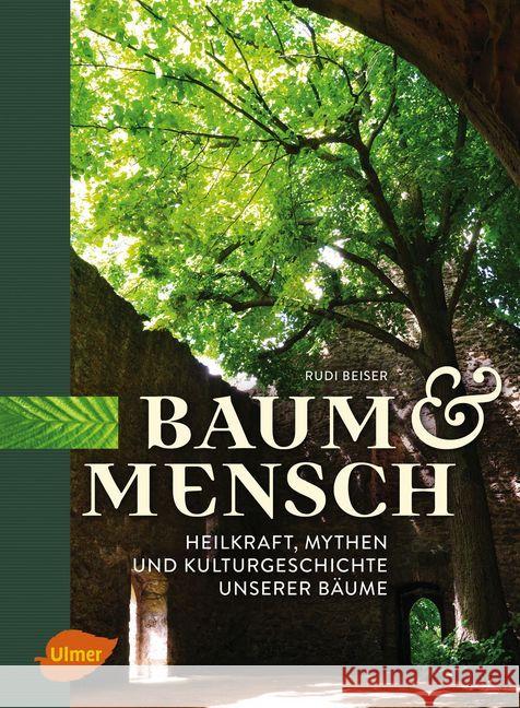 Baum und Mensch : Heilkraft, Mythen und Kulturgeschichte unserer Bäume Beiser, Rudi 9783818600723 Verlag Eugen Ulmer - książka