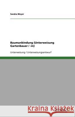 Baumanbindung (Unterweisung Gartenbauer / -in) Sandra Meyer 9783640914661 Grin Verlag - książka