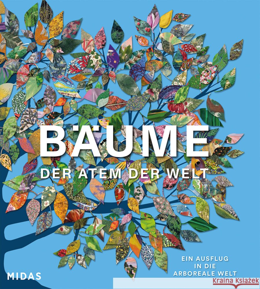 BÄUME - Der Atem der Welt Kirkham, Tony 9783038763307 Midas Collection - książka