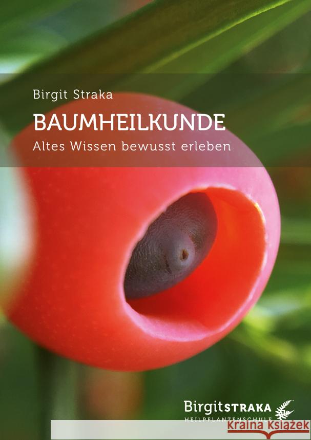 Baumheilkunde Straka, Birgit 9783907246658 Synergia - książka