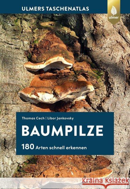 Baumpilze Cech, Thomas L., Jankovský, Libor 9783818606930 Verlag Eugen Ulmer - książka