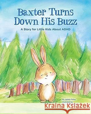 Baxter Turns Down His Buzz: A Story for Little Kids about ADHD James M. Foley 9781433822681 Magination Press - książka