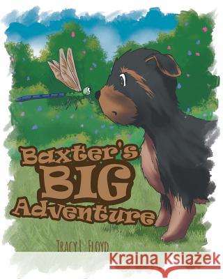 Baxter's Big Adventure Tracy L Floyd 9781640036536 Covenant Books - książka