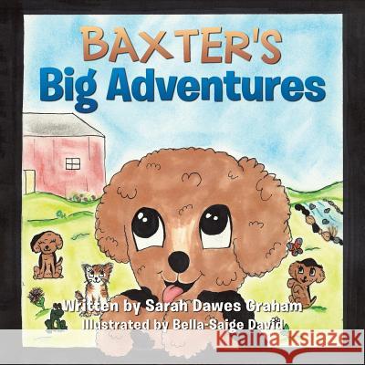 Baxter's Big Adventures Sarah Dawes Graham 9781490852058 WestBow Press - książka