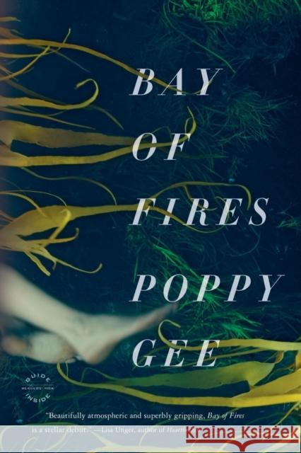 Bay of Fires Poppy Gee 9780316201704 Back Bay Books - książka