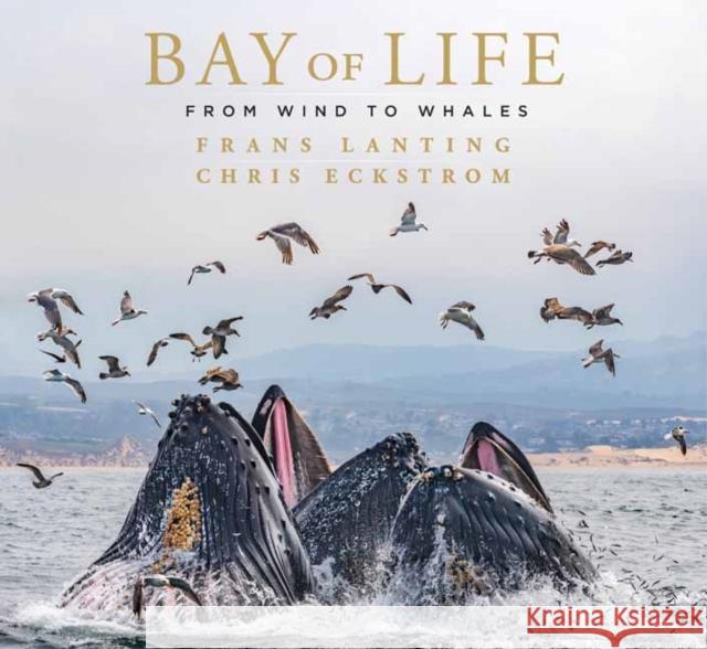 Bay of Life: From Wind to Whales Frans Lanting Chris Eckstrom Leon Panetta 9781647221430 Insight Editions - książka