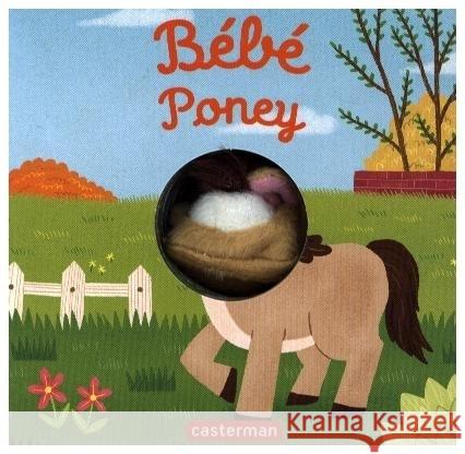 Bébé poney Huang, Yu-hsuan 9782203257184 Casterman Jeunesse - książka