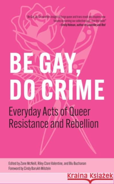 Be Gay, Do Crime: Everyday Acts of Queer Resistance and Rebellion  9798887441306 PM Press - książka