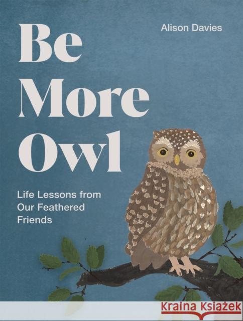Be More Owl: Life Lessons from Our Feathered Friends Alison Davies 9781837834068 Quadrille Publishing - książka