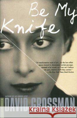 Be My Knife David Grossman Vered Almog Maya Gurantz 9780312421472 Picador USA - książka