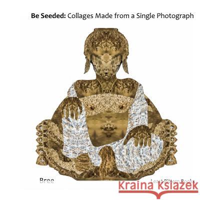 Be Seeded: Collages Made from a Single Photograph Bree                                     Least Bittern Books 9781981552139 Createspace Independent Publishing Platform - książka