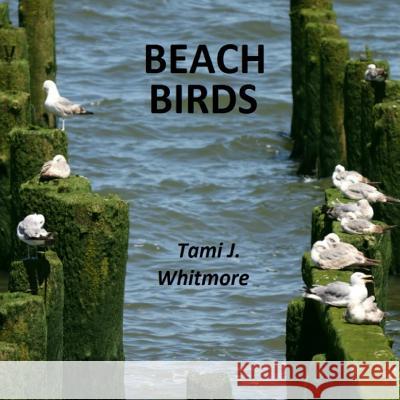 Beach Birds Tami J. Whitmore 9781530567416 Createspace Independent Publishing Platform - książka