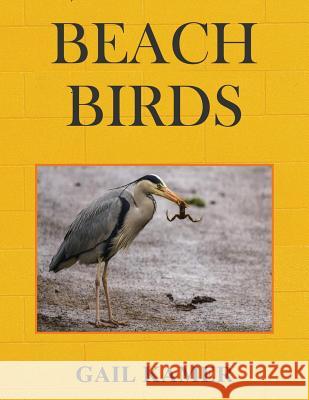 Beach Birds Gail Kamer 9781534806139 Createspace Independent Publishing Platform - książka