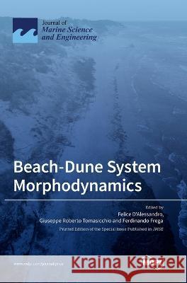 Beach-Dune System Morphodynamics Felice D'Alessandro, Giuseppe Roberto Tomasicchio, Ferdinando Frega 9783036550275 Mdpi AG - książka