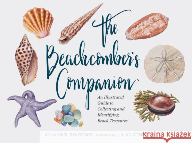 Beachcomber's Companion: An Illustrated Guide to Collecting and Identifying Beach Treasures Jillian Dittner 9781452161167 Chronicle Books - książka