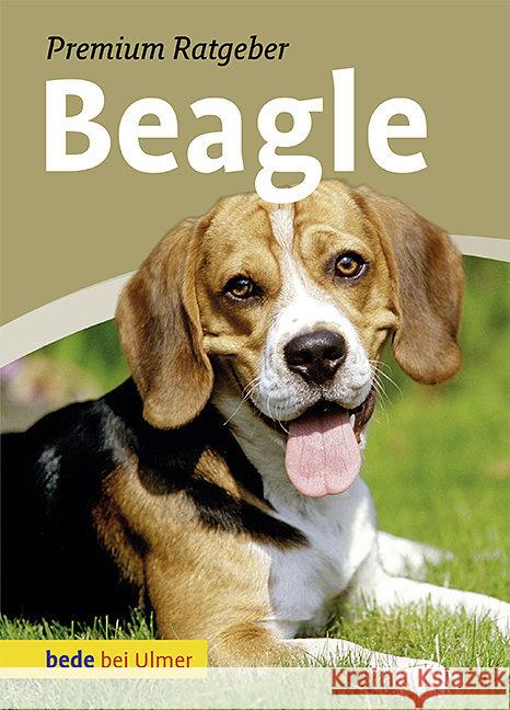Beagle Schmitt, Annette   9783800167227 Ulmer (Eugen) - książka