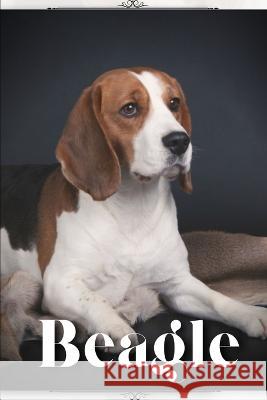 Beagle: Dog breed overview and guide Nina Pustova   9798396318618 Independently Published - książka