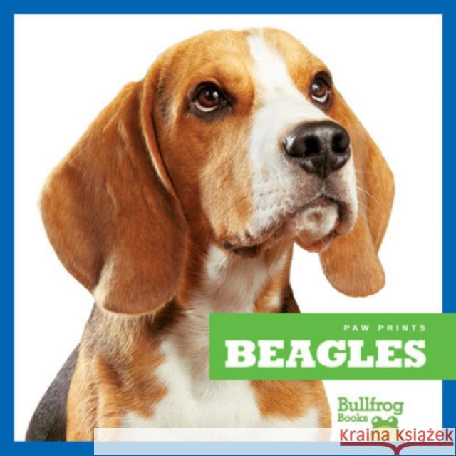 Beagles Kaitlyn Duling 9781624967641 Jump! Incorporated - książka