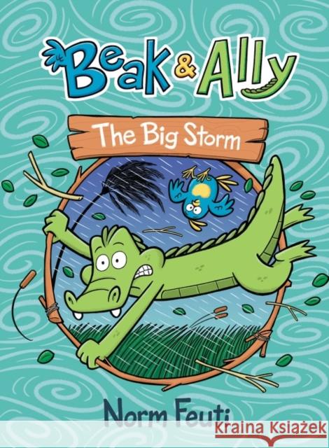 Beak & Ally #3: The Big Storm Norm Feuti Norm Feuti 9780063021631 Harperalley - książka