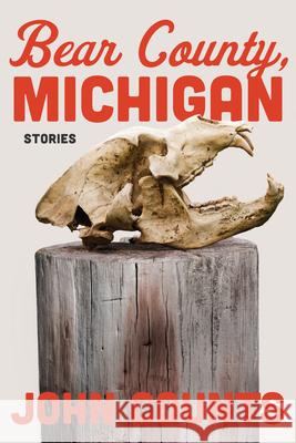 Bear County, Michigan: Stories John Counts 9780810148017 Triquarterly Books - książka