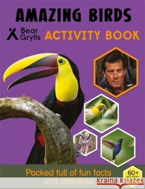 Bear Grylls Sticker Activity: Amazing Birds Bear Grylls 9781786960467 Bonnier Zaffre - książka