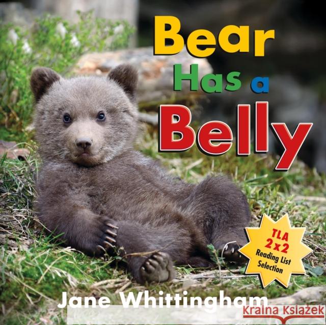Bear Has a Belly Jane Whittingham 9781772782684 Pajama Press - książka