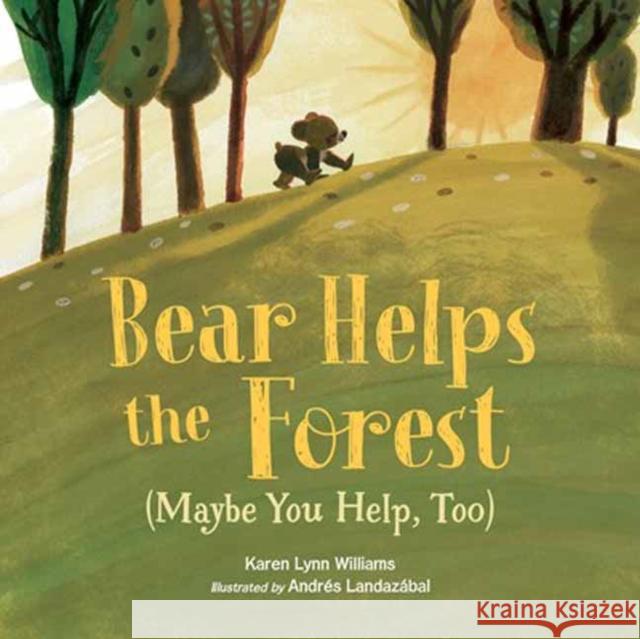 Bear Helps the Forest (Maybe You Help, Too) Andres Landazabal 9781623541613 Charlesbridge Publishing,U.S. - książka