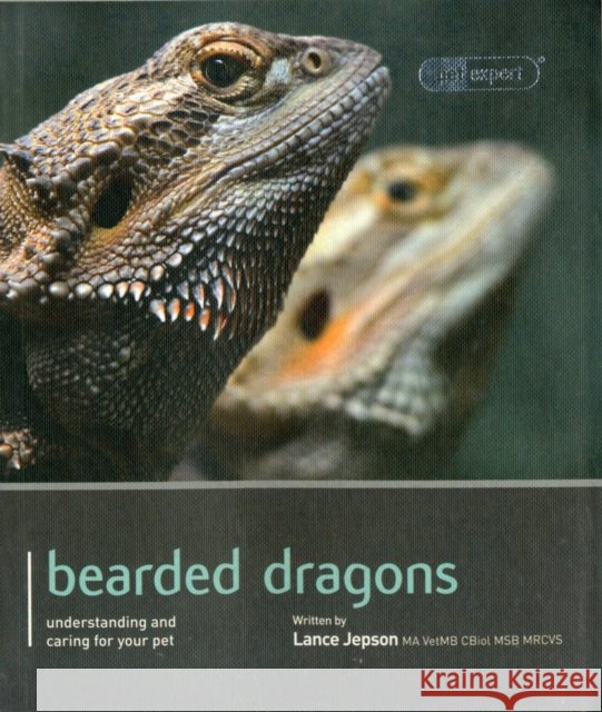 Bearded Dragon - Pet Expert Lance Jepson 9781907337154 Magnet & Steel Publishing Ltd - książka