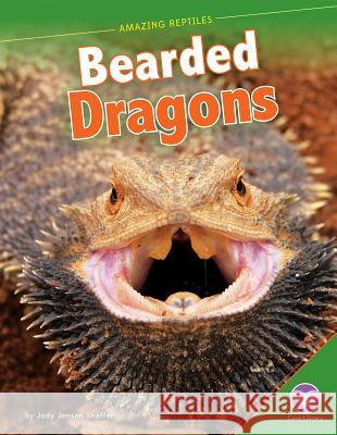 Bearded Dragons Jody Jensen Shaffer 9781624033698 Core Library - książka
