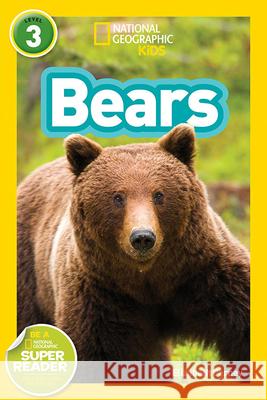 Bears National Geographic Kids 9781426324444 National Geographic Society - książka