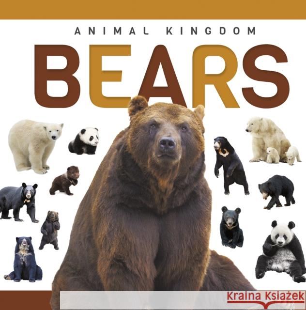 Bears Alex Hall 9781952455865 North Star Kids - książka