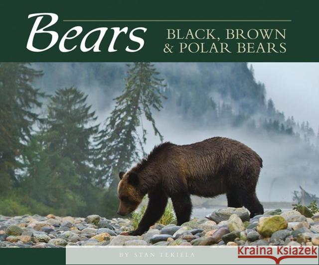 Bears: Black, Brown & Polar Bears Stan Tekiela 9781591933786 Adventure Publications(MN) - książka