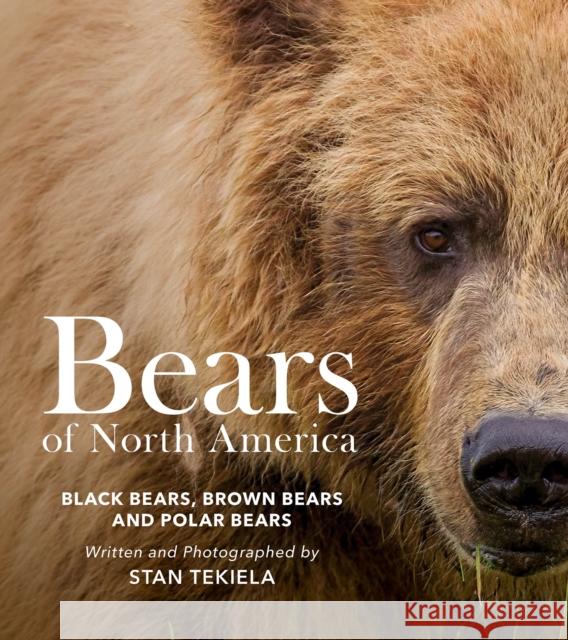 Bears of North America: Black Bears, Brown Bears, and Polar Bears Stan Tekiela 9781647554132 Adventure Publications, Incorporated - książka