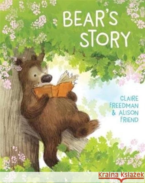 Bear's Story Claire Freedman Alison Friend  9781783706440 Templar Publishing - książka