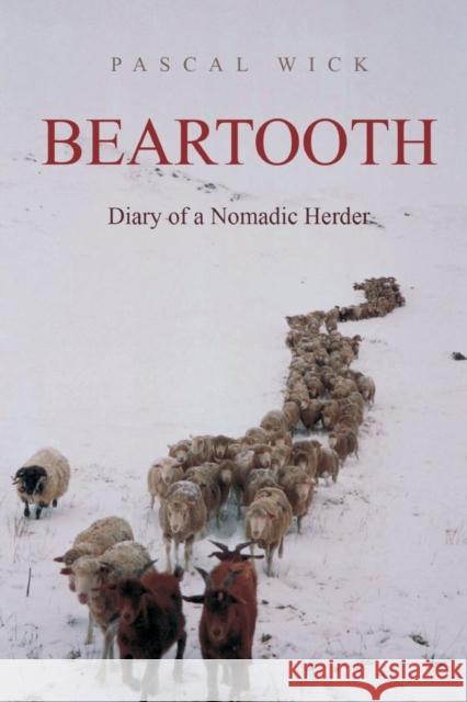 Beartooth - Diary of a Nomadic Herder Pascal Wick Tinker Mather  9780953182732 Aaranya Publishers - książka