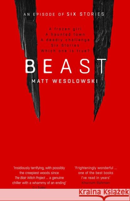Beast Matt Wesolowski 9781913193133 Orenda Books - książka