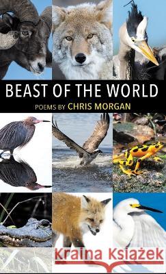 Beast of the World Chris Morgan   9798888382431 Finishing Line Press - książka