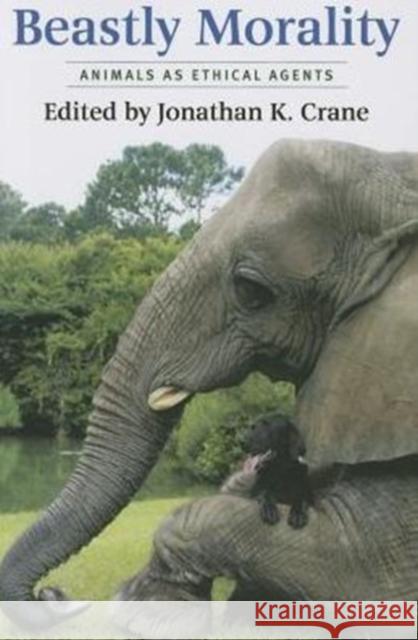 Beastly Morality: Animals as Ethical Agents Jonathan K. Crane 9780231174176 Columbia University Press - książka