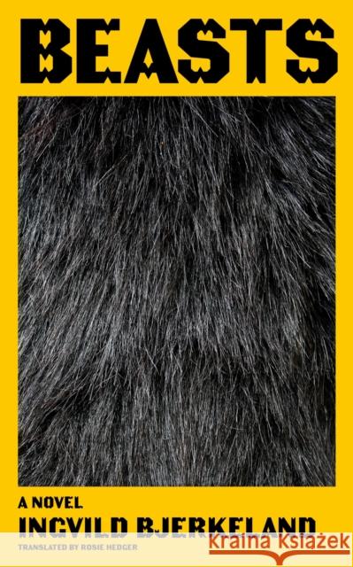 Beasts Ingvild Bjerkeland 9781646145133 Levine Querido - książka