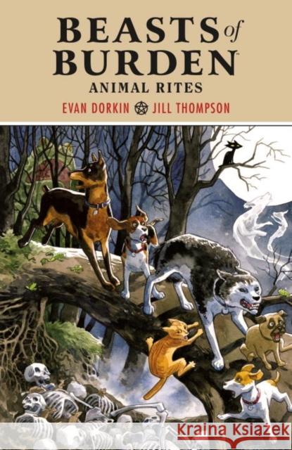 Beasts of Burden: Animal Rites Evan Dorkin Jill Thompson 9781506706368 Dark Horse Comics,U.S. - książka