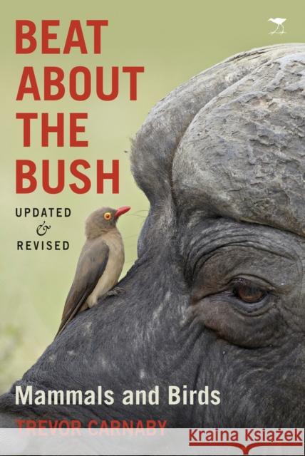 Beat about the bush : Mammals and birds Trevor Carnaby 9781431408535 Jacana Media - książka
