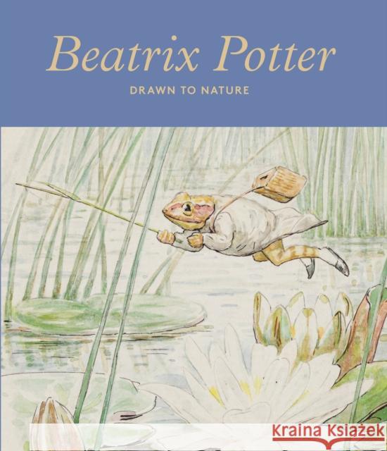 Beatrix Potter Tristram Hunt, Richard Fortey, Sara Glenn, Emma Laws, Liz Hunter MacFarlane, James Rebanks, Lucy Shaw, Annemarie Bilclou 9781838510138 V & A Publishing - książka