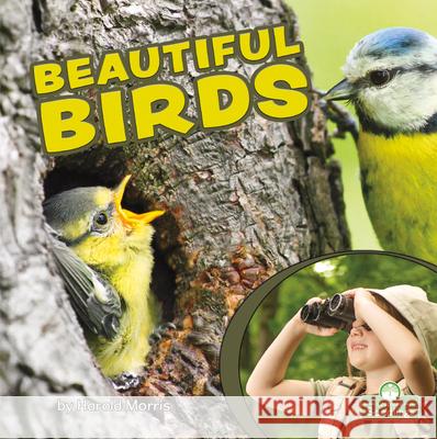 Beautiful Birds Harold Morris 9781039644625 Crabtree Seedlings - książka