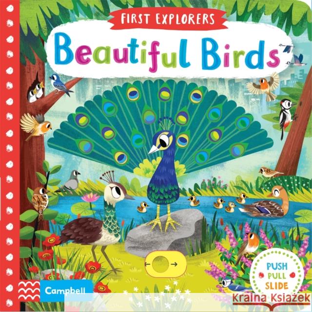Beautiful Birds Campbell Books 9781509898336 Pan Macmillan - książka