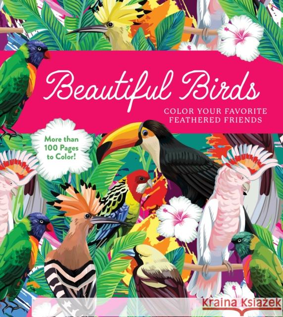 Beautiful Birds: Color Your Favorite Feathered Friends - More than 100 Pages to Color! Editors of Chartwell Books 9780785844334 Quarto Publishing Group USA Inc - książka