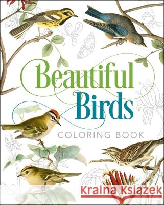 Beautiful Birds Coloring Book Peter Gray 9781839402685 Arcturus Publishing - książka