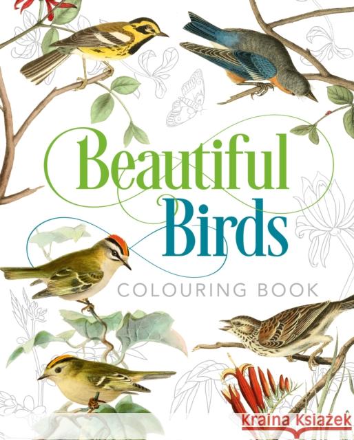 Beautiful Birds Colouring Book Peter Gray 9781789501063 Arcturus Publishing Ltd - książka