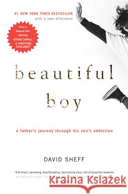 Beautiful Boy: A Father's Journey Through His Son's Addiction David Sheff 9780547203881 Mariner Books - książka